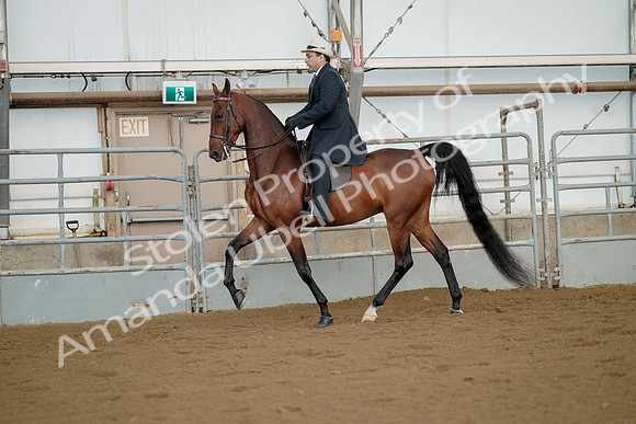 July 21, 2019 - 01565