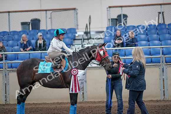 2019 Morgan Horse Show - Aug 31, 2019 - 10190