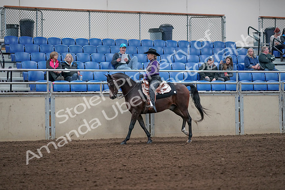 2019 Morgan Horse Show - Aug 31, 2019 - 10629
