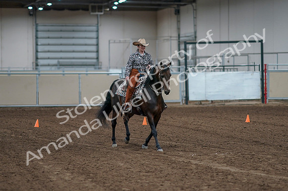 2020 - AB Morgan Horse - Fri, Sept 04 - 00040