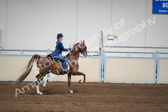 2020 - AB Morgan Horse - Sat, Sept 05 - 06344