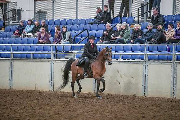 Spring Fling - Saturday - April 20, 2019  -  03936