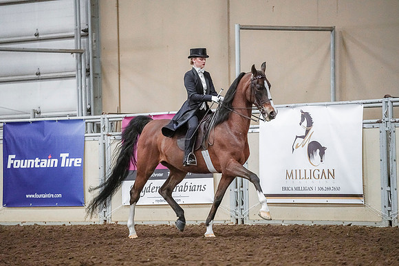 Spring Fling - Saturday - April 20, 2019  -  04162