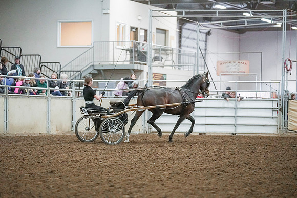 Spring Fling - Saturday - April 20, 2019  -  00287