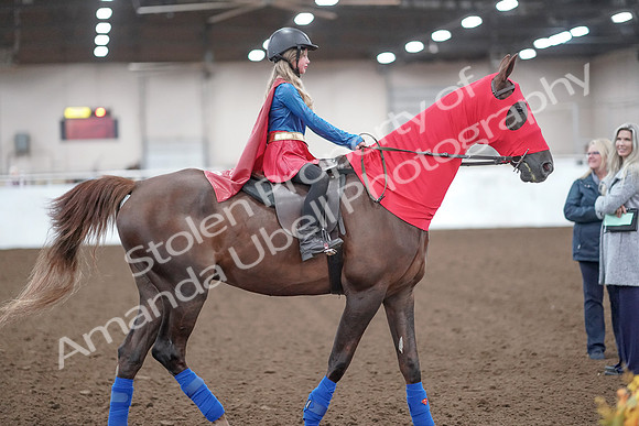 2019 Morgan Horse Show - Aug 31, 2019 - 10011
