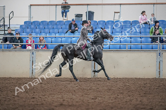 2019 Morgan Horse Show - Aug 31, 2019 - 09567