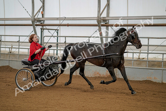 July 20, 2019 - 00235