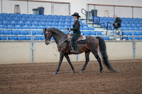 2019 Morgan Horse Show - Sept 01, 2019 - 11192
