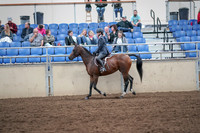 2019 Morgan Horse Show - Aug 31, 2019 - 21374
