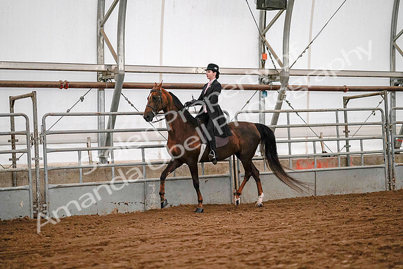 July 19, 2019 - 8916