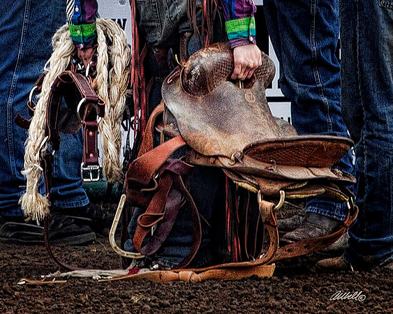 rodeo - 008