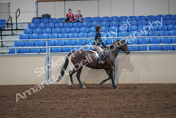 2020 - AB Morgan Horse - Sat, Sept 05 - 05128