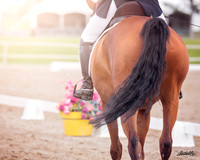 Assoc - CA-ADA Dressage Show - June 02 - 00129