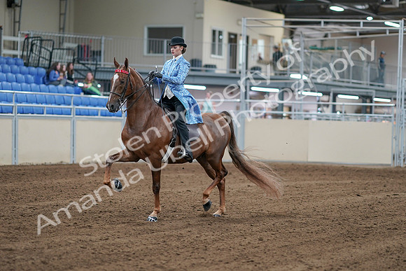 2020 - AB Morgan Horse - Sat, Sept 05 - 06115