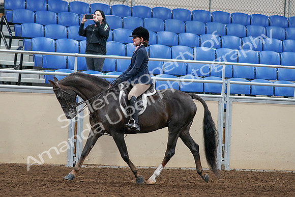 2020 - AB Morgan Horse - Sun, Sept 06 - 07962