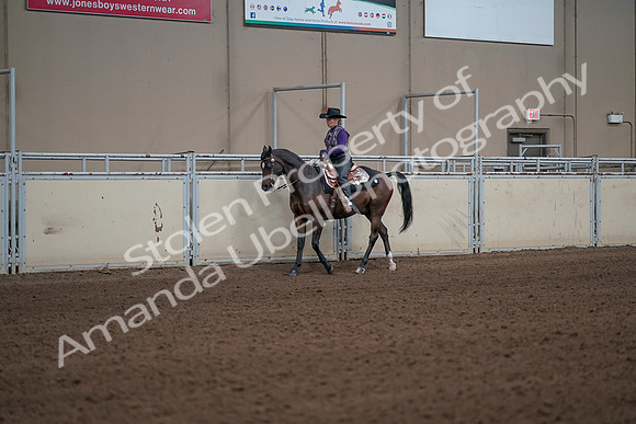 2019 Morgan Horse Show - Aug 31, 2019 - 10582