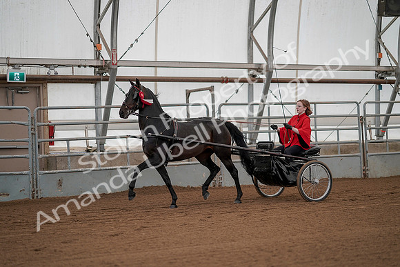 July 20, 2019 - 00300
