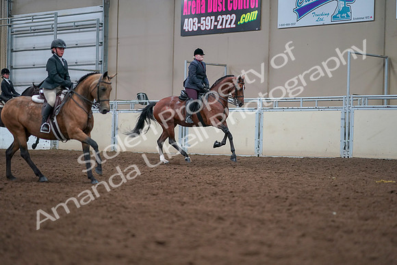 2019 Morgan Horse Show - Aug 30, 2019 - 21051