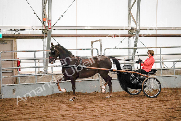 July 19, 2019 - 6972