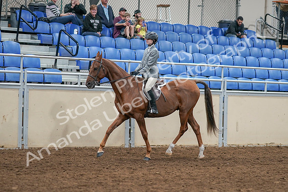 2020 - AB Morgan Horse - Sat, Sept 05 - 02606