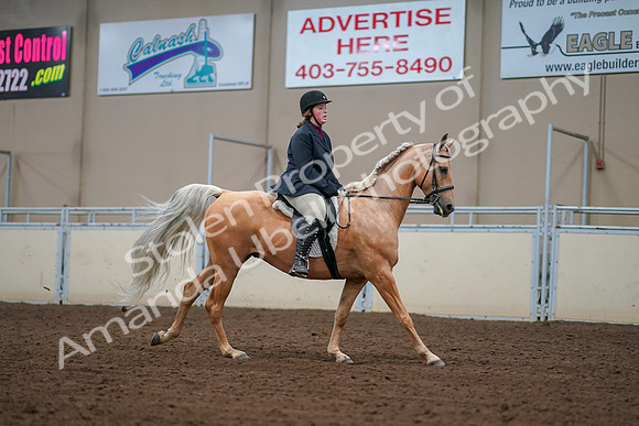 2019 Morgan Horse Show - Aug 30, 2019 - 16421