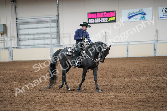 2020 - AB Morgan Horse - Sun, Sept 06 - 07623