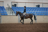 2019 Morgan Horse Show - Aug 31, 2019 - 06307