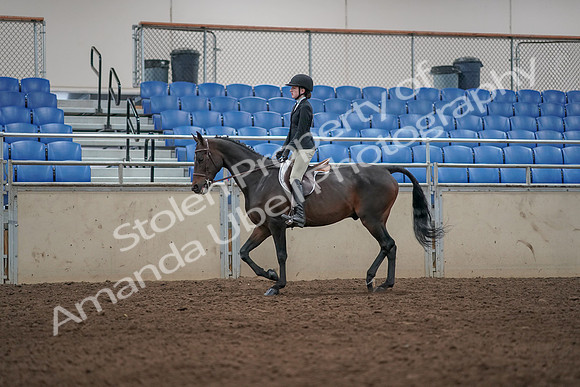 2019 Morgan Horse Show - Aug 31, 2019 - 06307