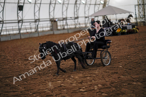 July 19, 2019 - 6884