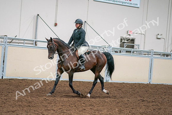 2020 - AB Morgan Horse - Sat, Sept 05 - 09328