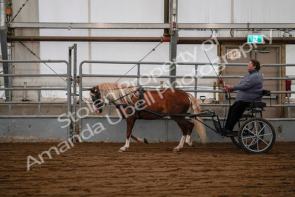 July 19, 2019 - 7083