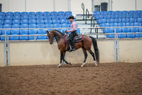 2019 Morgan Horse Show - Aug 30, 2019 - 22704