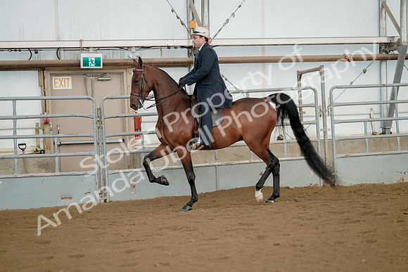 July 21, 2019 - 01563