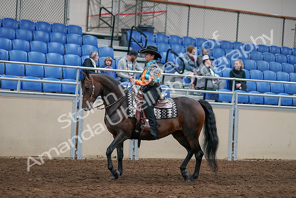 2020 - AB Morgan Horse - Sun, Sept 06 - 07484