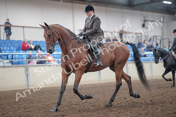2019 Morgan Horse Show - Aug 31, 2019 - 14646