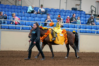 2020 - AB Morgan Horse - Sat, Sept 05 - 05767