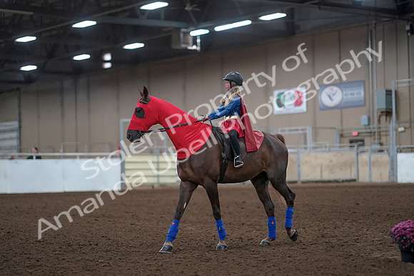 2019 Morgan Horse Show - Aug 31, 2019 - 10070