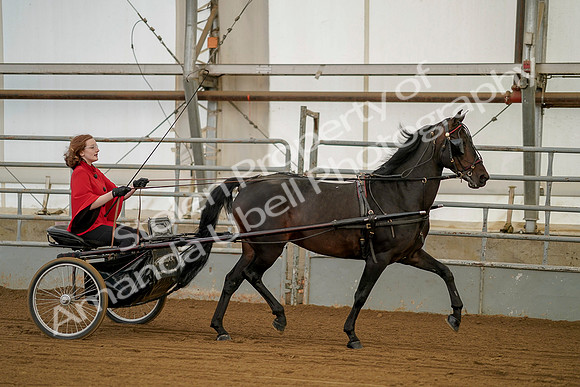 July 20, 2019 - 00213