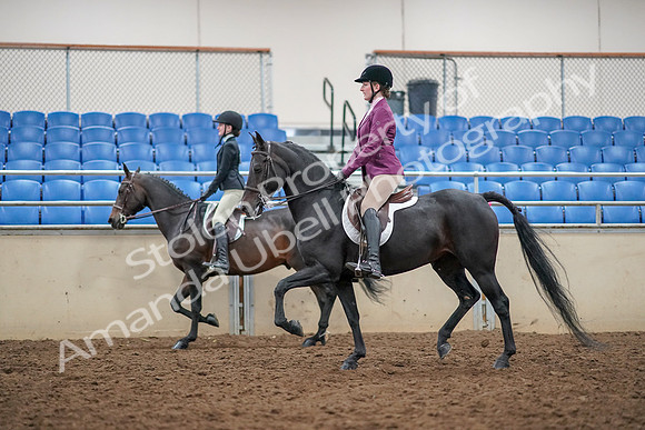 2019 Morgan Horse Show - Aug 30, 2019 - 23341