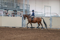 2020 - AB Morgan Horse - Sat, Sept 05 - 01738
