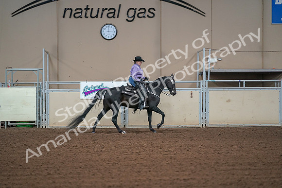 2019 Morgan Horse Show - Aug 30, 2019 - 16987