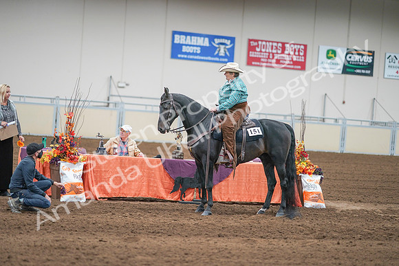 2020 - AB Morgan Horse - Sun, Sept 06 - 01669