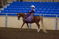Class 161 - HA/AA Side Saddle, English or Western, ATR