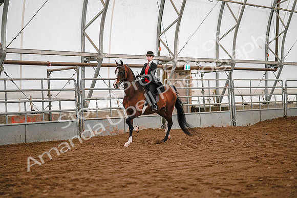 July 19, 2019 - 8692