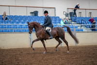 2019 Morgan Horse Show - Aug 30, 2019 - 17247