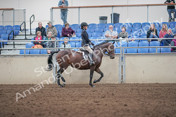 2019 Morgan Horse Show - Aug 31, 2019 - 19689