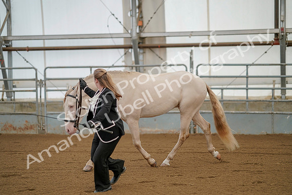 July 19, 2019 - 357