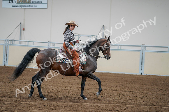 2020 - AB Morgan Horse - Fri, Sept 04 - 00328