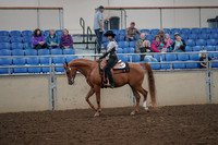 2019 Morgan Horse Show - Aug 30, 2019 - 25863
