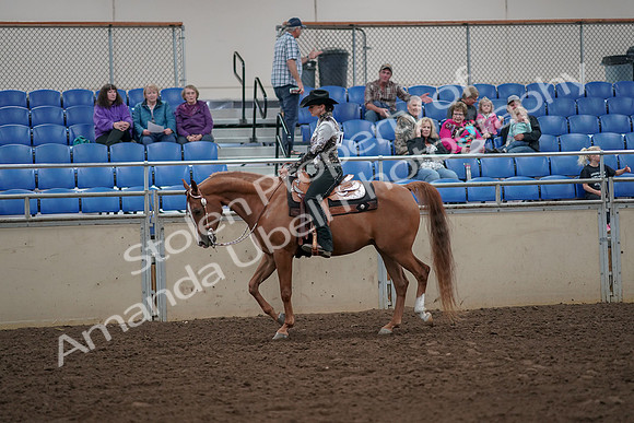 2019 Morgan Horse Show - Aug 30, 2019 - 25863